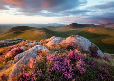 Pierces Castle21 website min